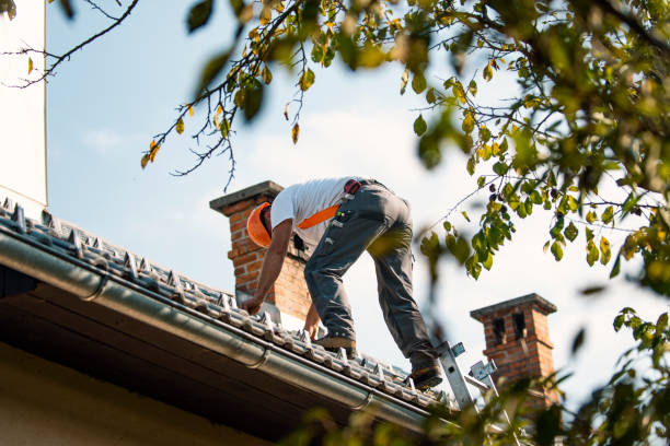Best Metal Roofing Contractor  in Chatham, IL