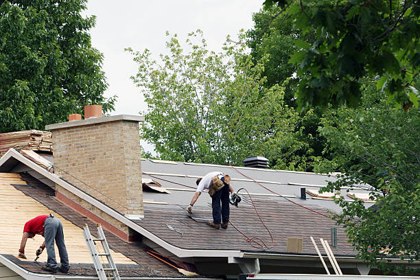 Best Roof Gutter Cleaning  in Chatham, IL