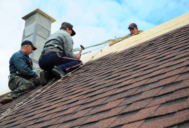 Best Emergency Roof Repair  in Chatham, IL
